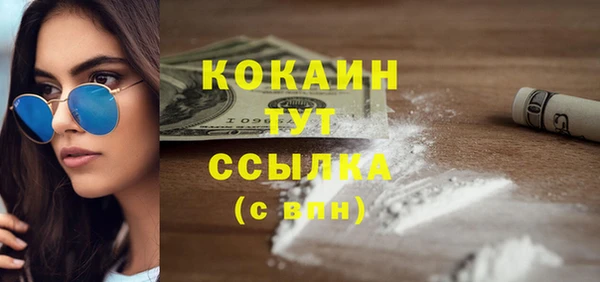 мяу мяу мука Кодинск