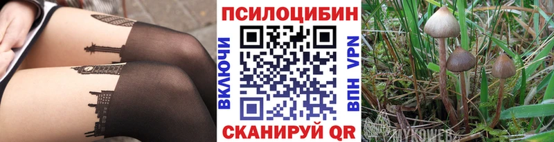 Галлюциногенные грибы Magic Shrooms  Купить где  Богучар 